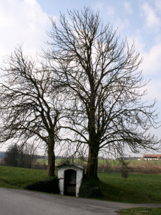 Haus (Tuntenhausen) Kapelle